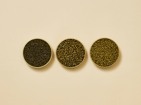 Astrea Caviar Starter Set (3-Species)