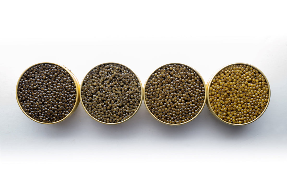 How Much is Caviar Worth? 