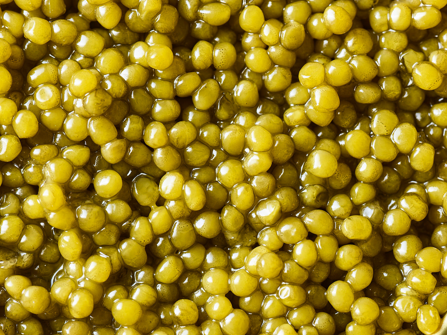 Grand Selection Golden Oscietra