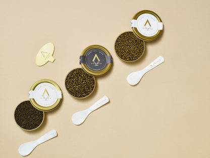 Astrea Caviar Starter Set (3-Species)