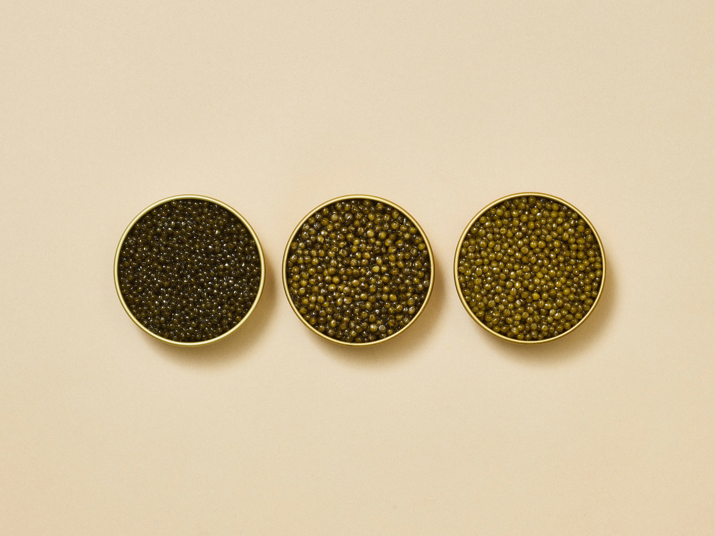 Astrea Caviar Starter Set (3-Species)