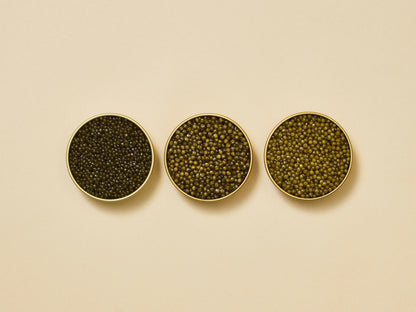 Astrea Caviar Starter Set (3-Species)