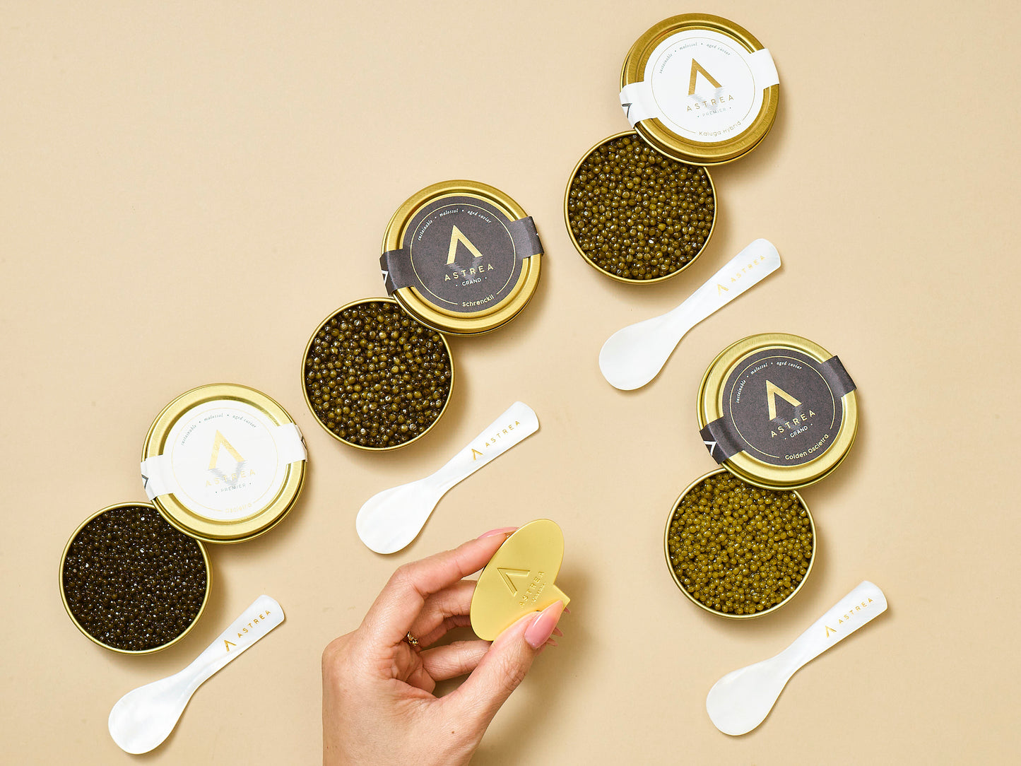 Astrea Caviar Starter Set (4-Species)