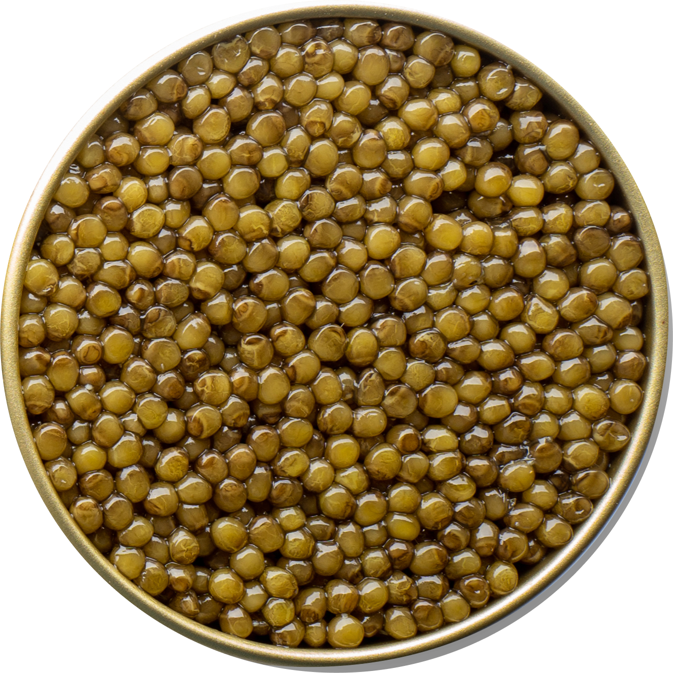  astrea-caviar 