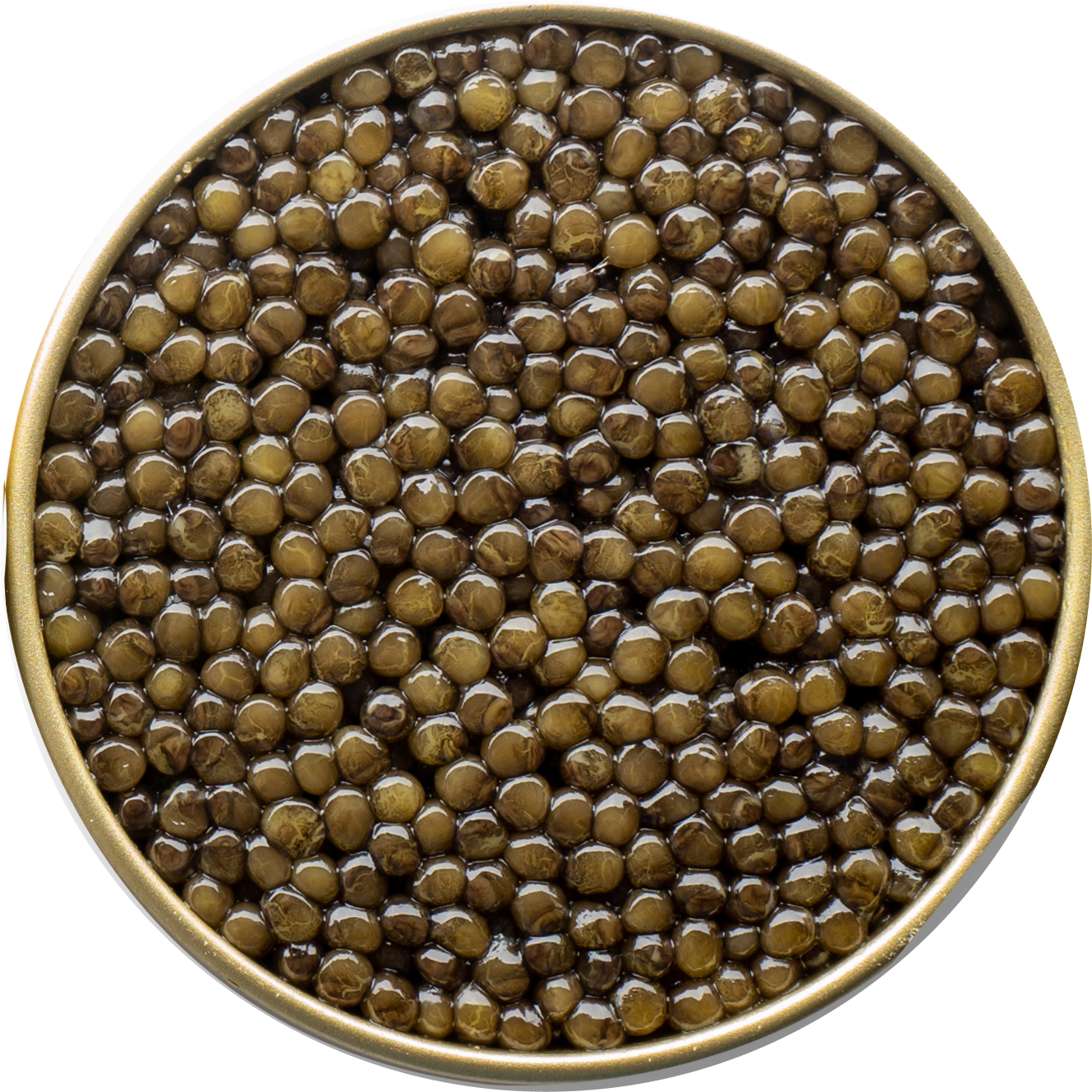  astrea-caviar 