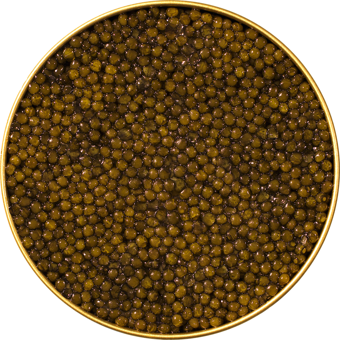  astrea-caviar 