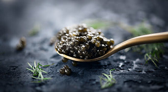  astrea-caviar 