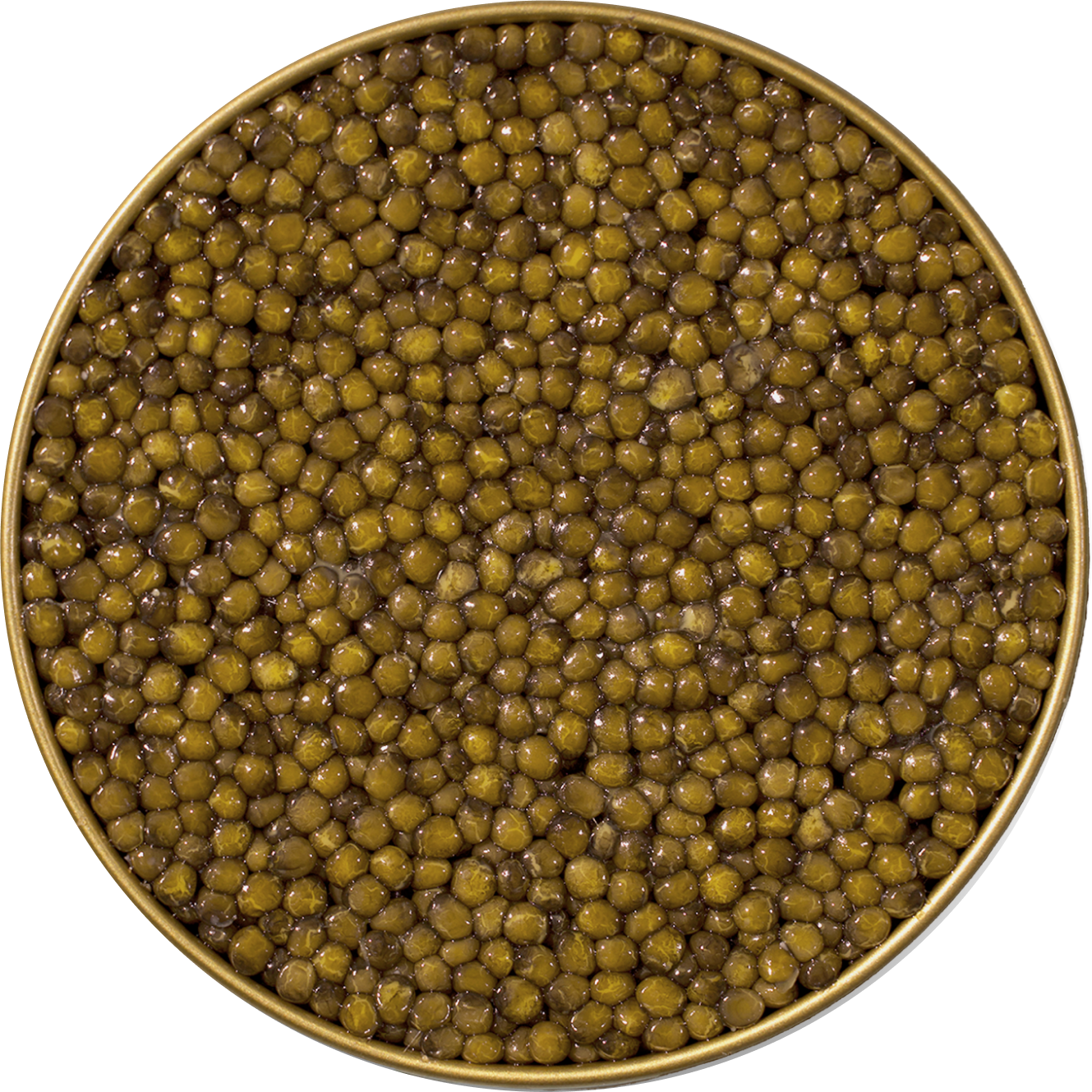  astrea-caviar 